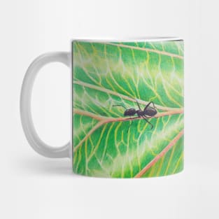 Ant on Leaf of a Chinese Plum Tree Mug